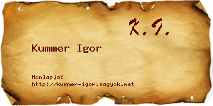 Kummer Igor névjegykártya